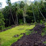 Site archéologique de Taaoa - Hiva Oa