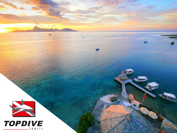 TOPDIVE Tahiti TOPDIVE Tahiti