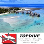 tkh-topdive