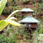Mountainside bungalows