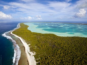 Coconut plantations in Tuamotu archipelago