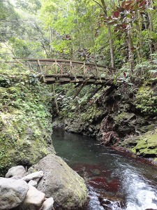 The Fautaua bridge