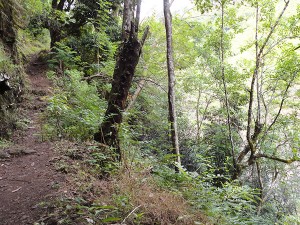 Walking along the mountain