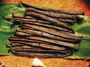 Vanilla of Taha'a © T.McKenna - Tahiti Tourisme