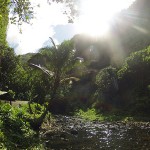 River along the refuge - Te Pari Hiking