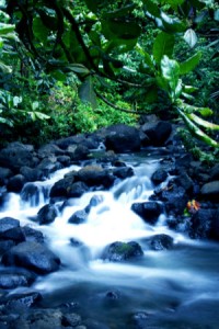 ©FCharreard_Tahiti Tourisme