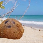 Coconut from Tahiti